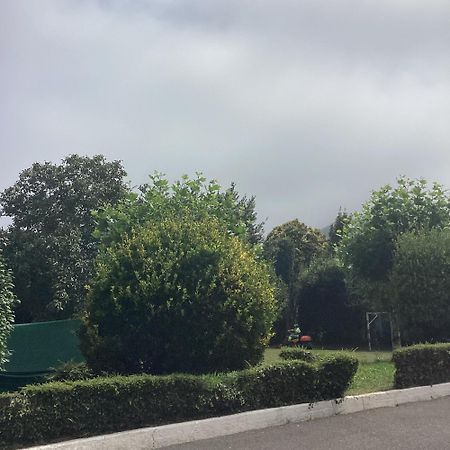 فيلا Corias Casona Junto Al Narcea المظهر الخارجي الصورة