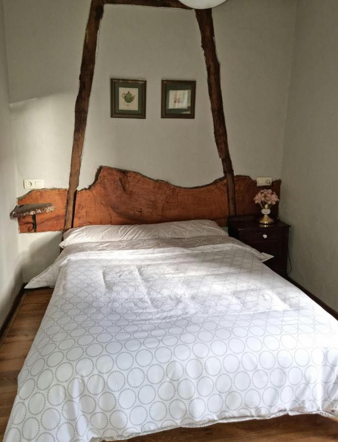 فيلا Corias Casona Junto Al Narcea المظهر الخارجي الصورة